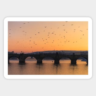 Charles Bridge Sticker